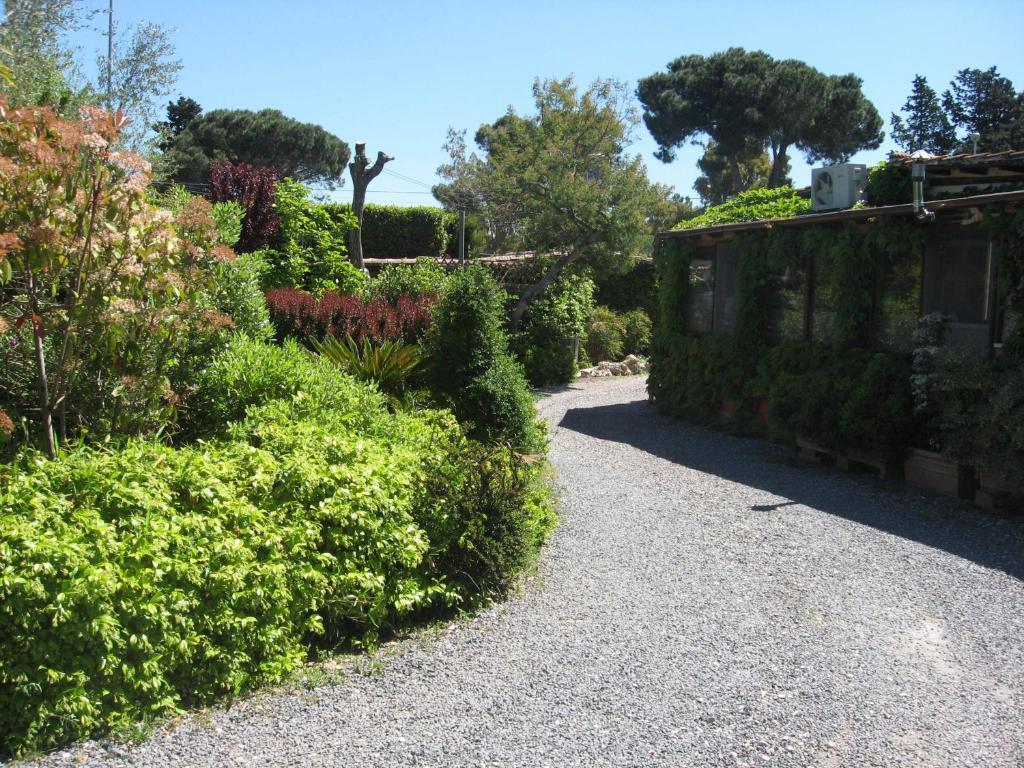 Country Apartments Castel di Decima Екстер'єр фото