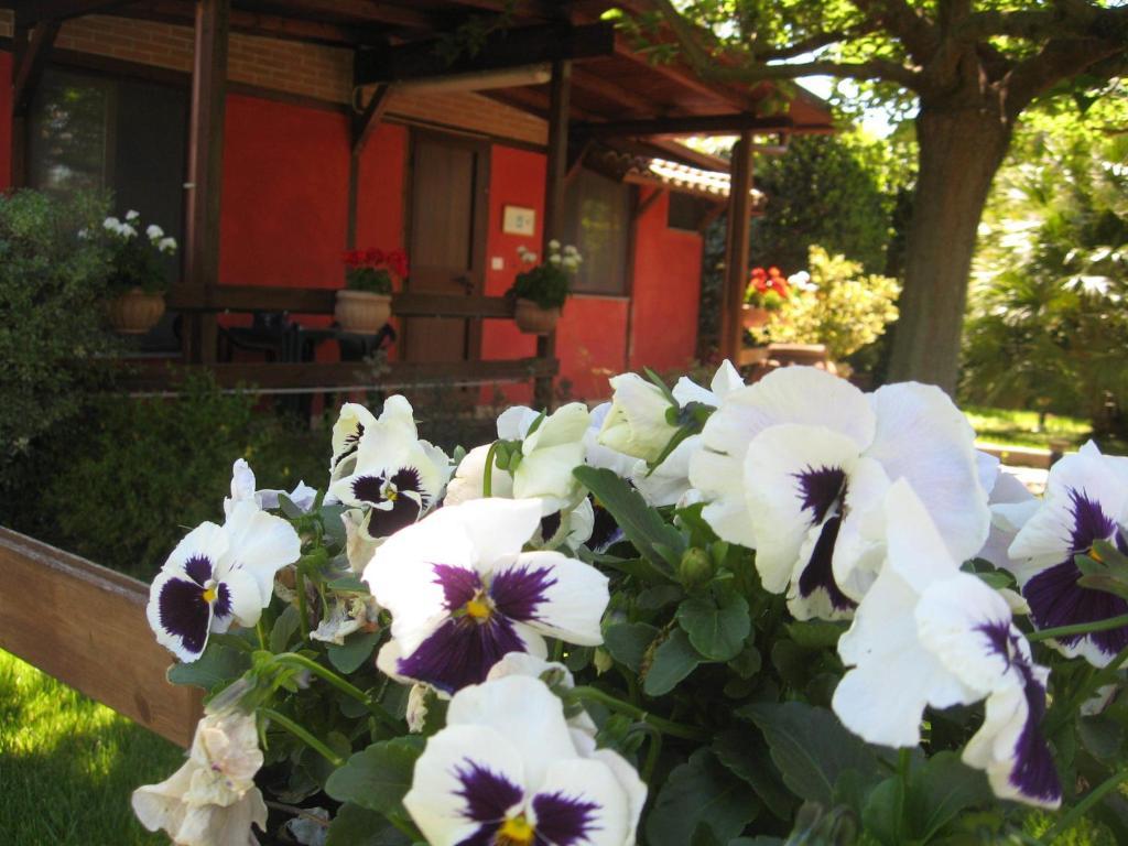 Country Apartments Castel di Decima Екстер'єр фото