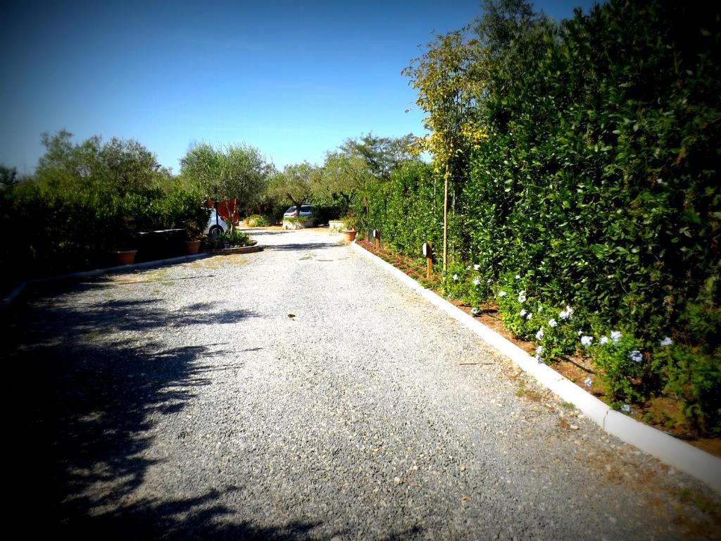 Country Apartments Castel di Decima Екстер'єр фото