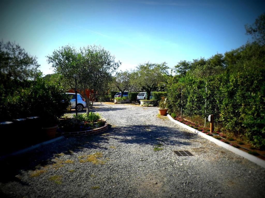Country Apartments Castel di Decima Екстер'єр фото